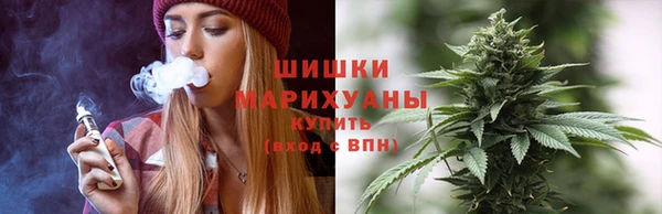 шишки Дмитровск