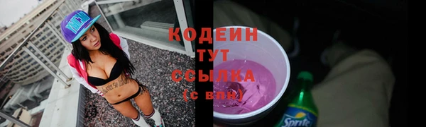 шишки Дмитровск