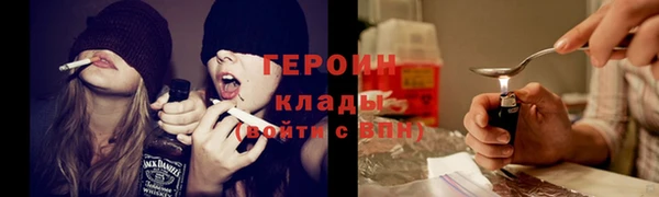 шишки Дмитровск