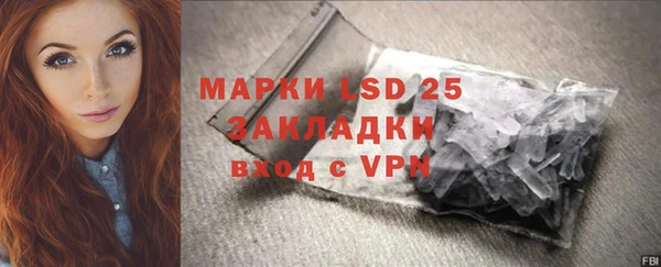 шишки Дмитровск