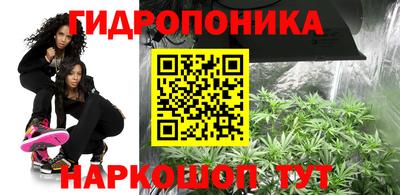 хмурый Абакан