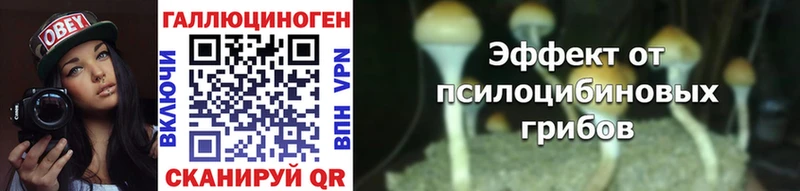 Псилоцибиновые грибы GOLDEN TEACHER  Альметьевск 